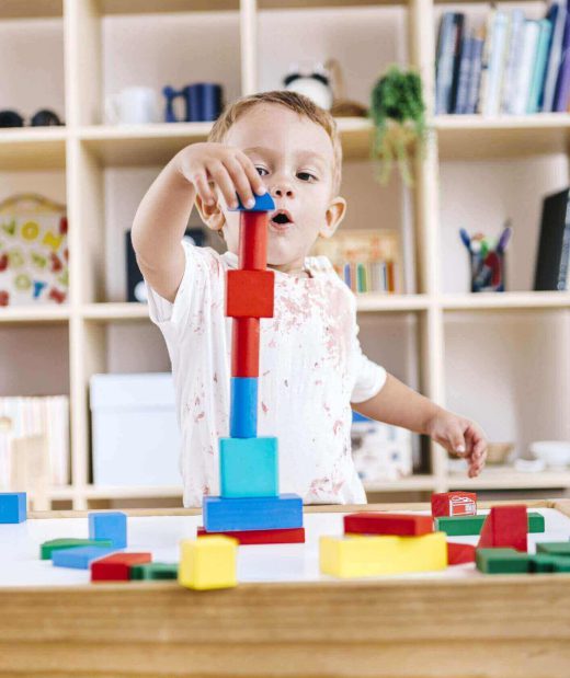 portrait-of-little-boy-playing-with-building-bricks-royalty-free-image-1581695203